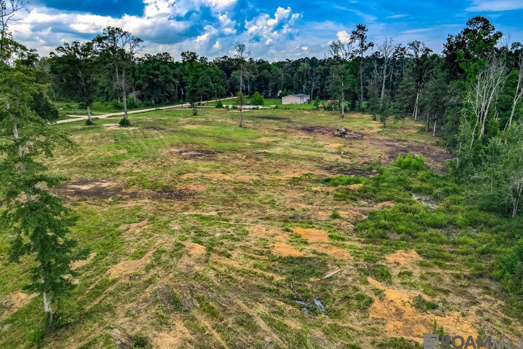 Denham Springs, LA 70706,12411 Springfield Rd