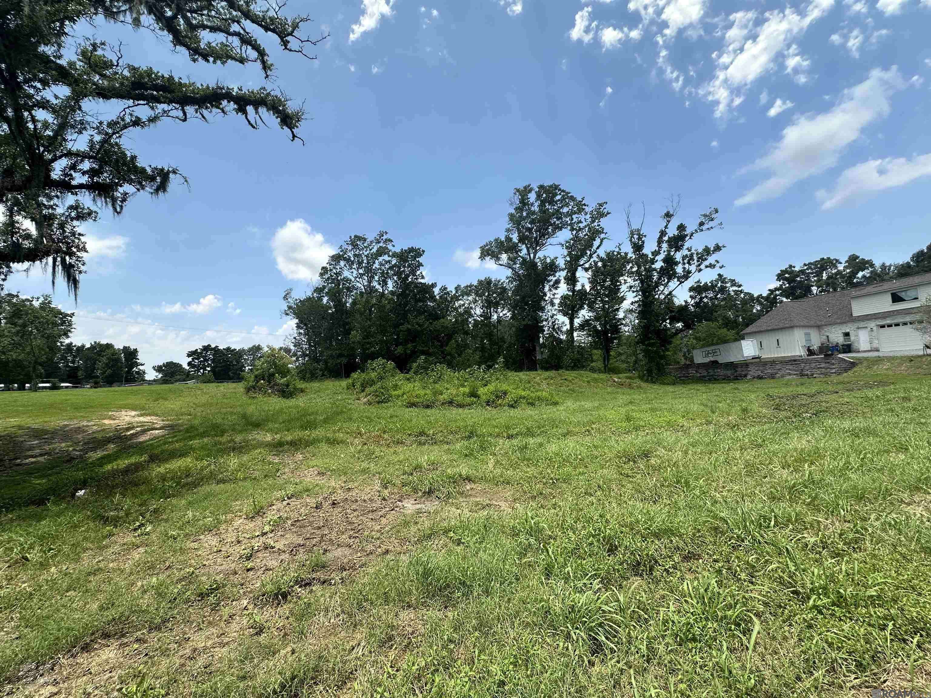 Prairieville, LA 70769,A-1 Swamp Rd