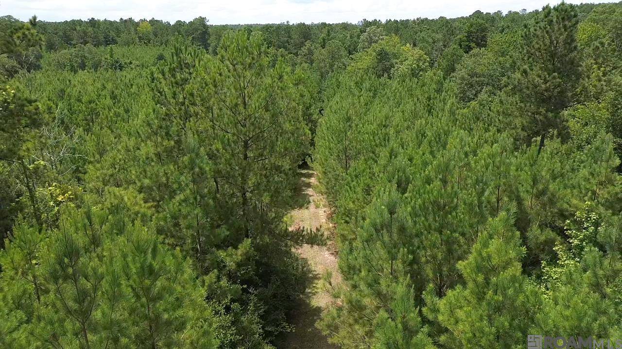 Greensburg, LA 70441,TBD La Hwy 10