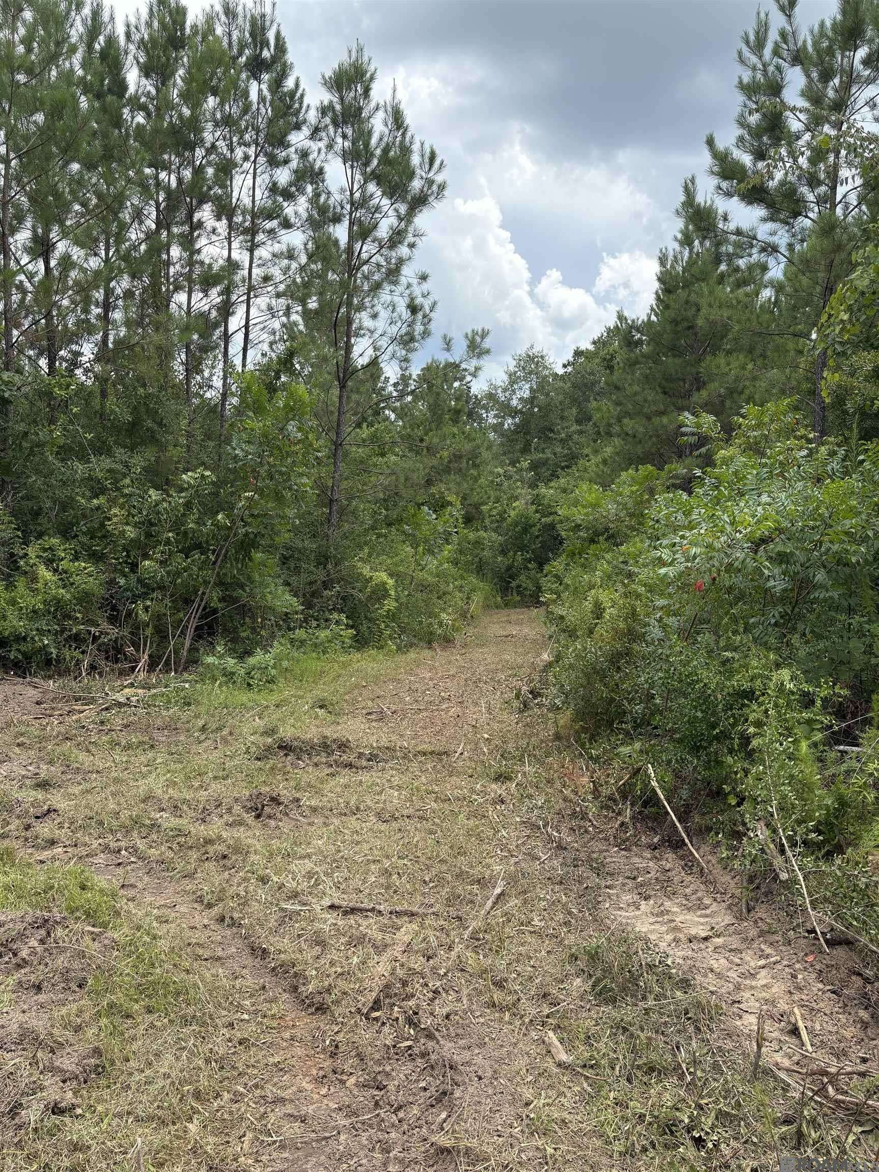 Greensburg, LA 70441,TBD La Hwy 10