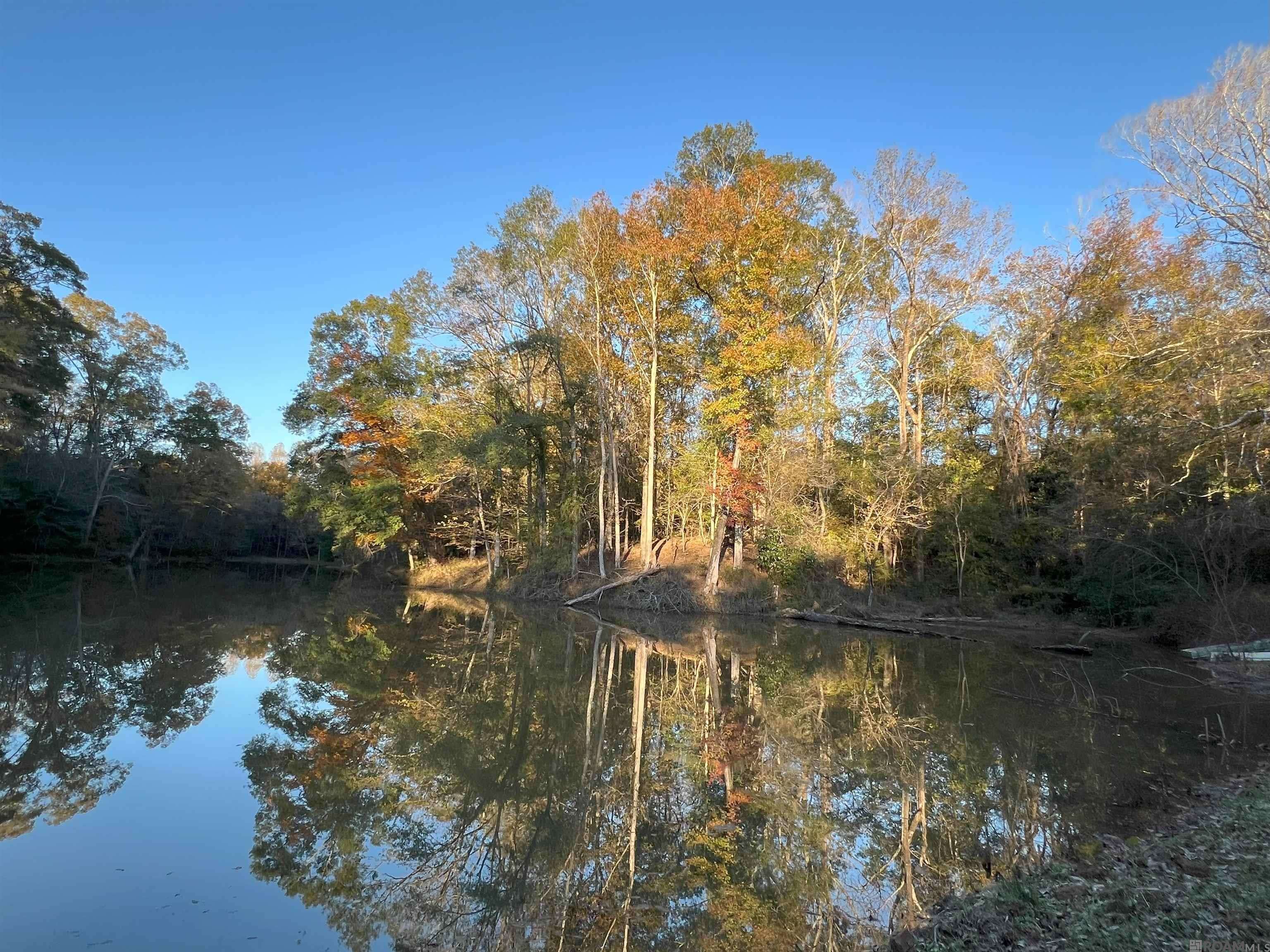 St Francisville, LA 70775,TBD (W. 180 Ac) Tunica Trace