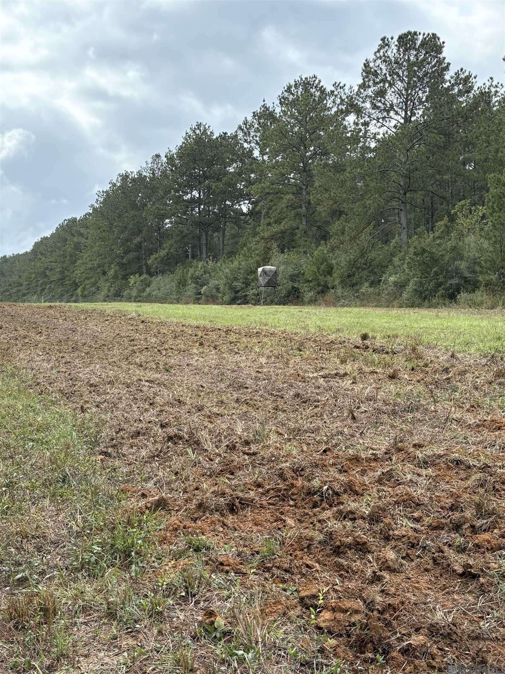 Greensburg, LA 70441,TBD Aunt Margies Road