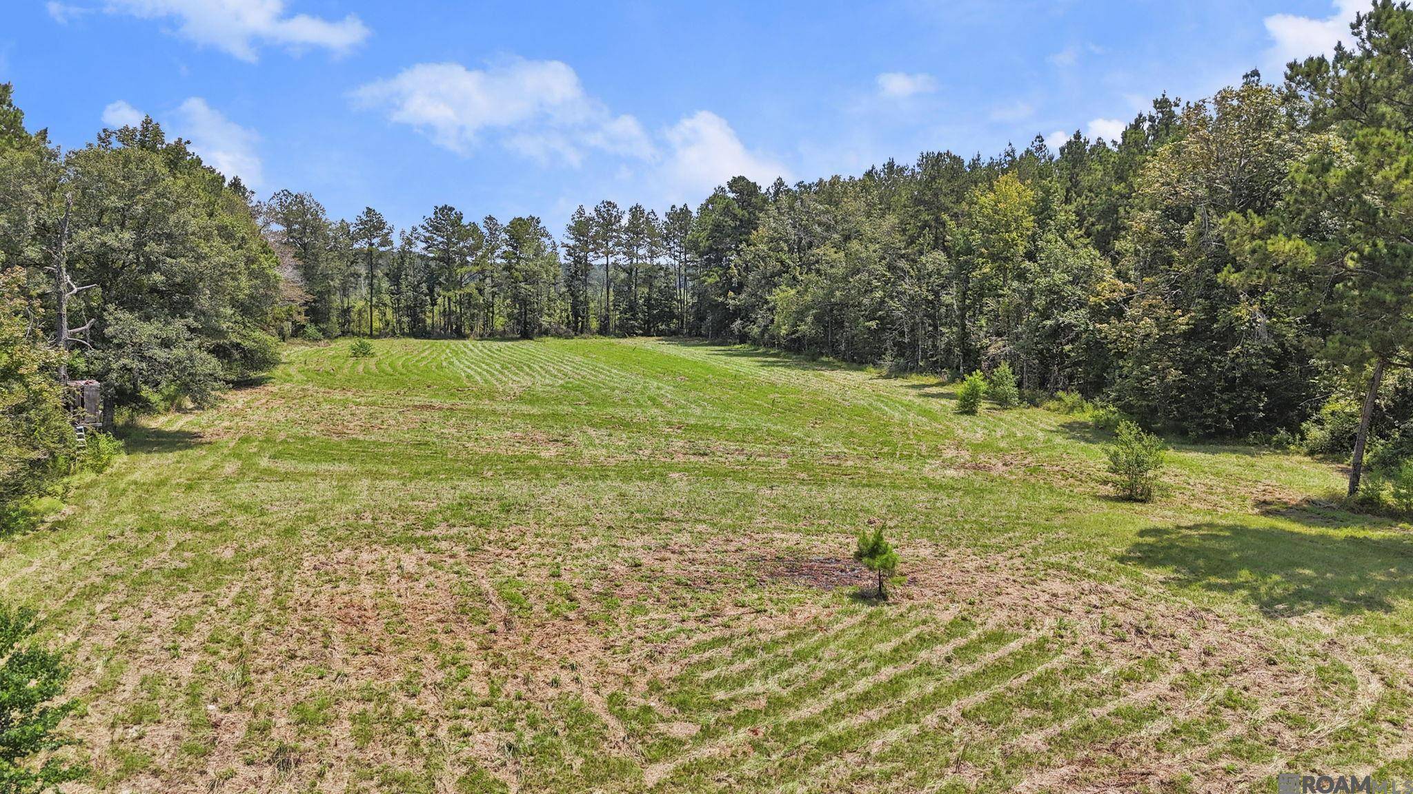 Walker, LA 70785,TBD-S2 Walker North Rd