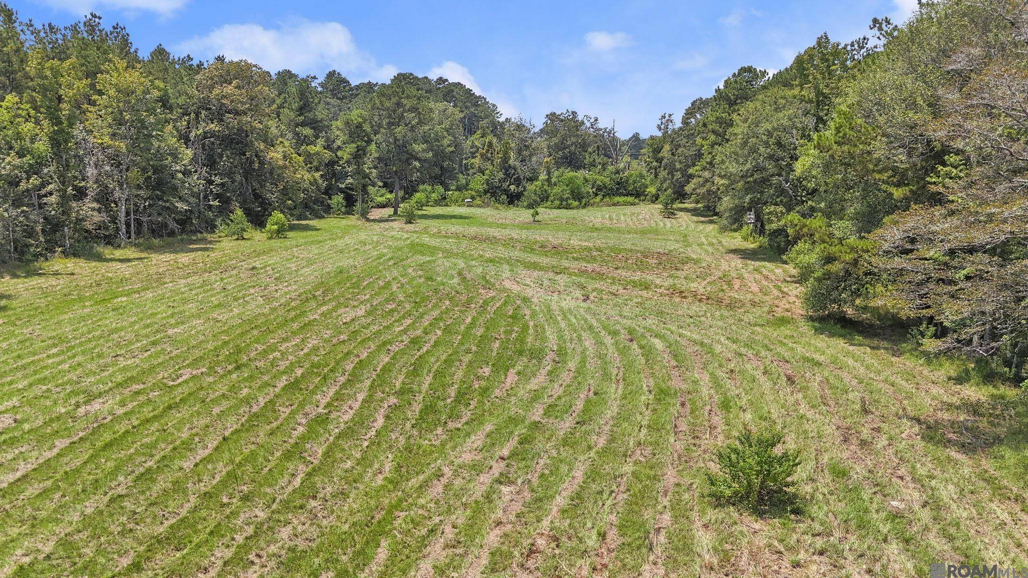 Walker, LA 70785,TBD-S2 Walker North Rd