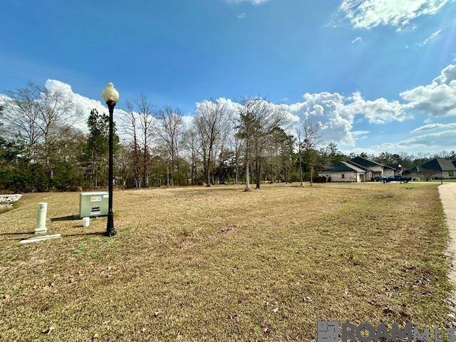 Robert, LA 70455,23187 Audubon Lakes Blvd