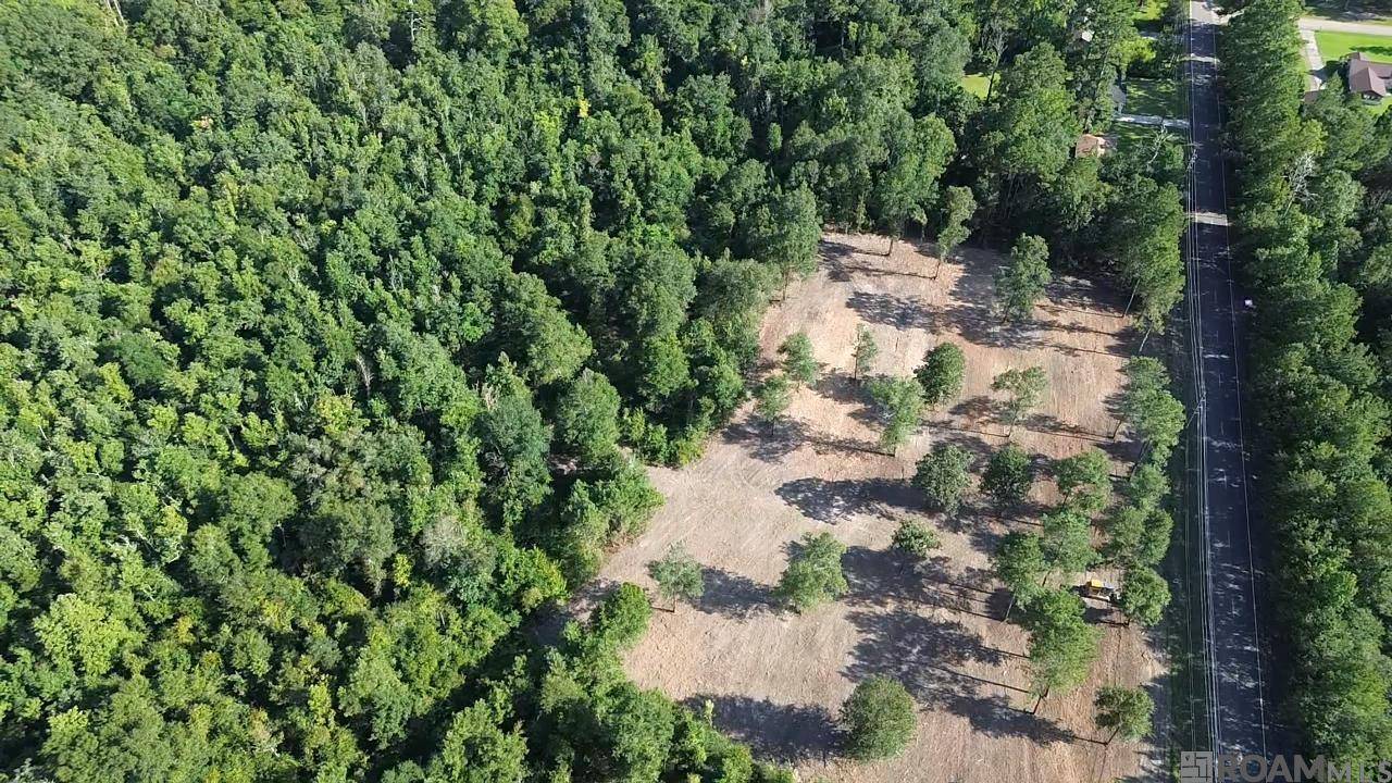 Hammond, LA 70401,46310 Rufus Bankston Rd
