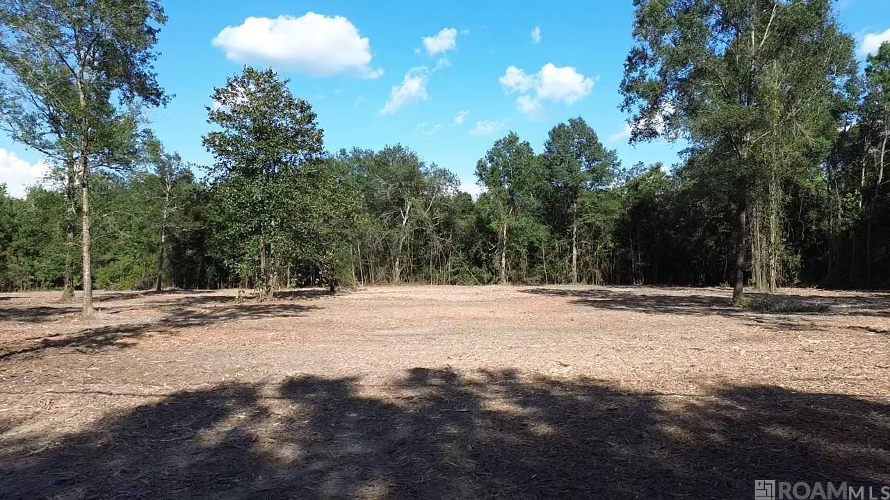 Hammond, LA 70401,46276 Rufus Bankston Rd