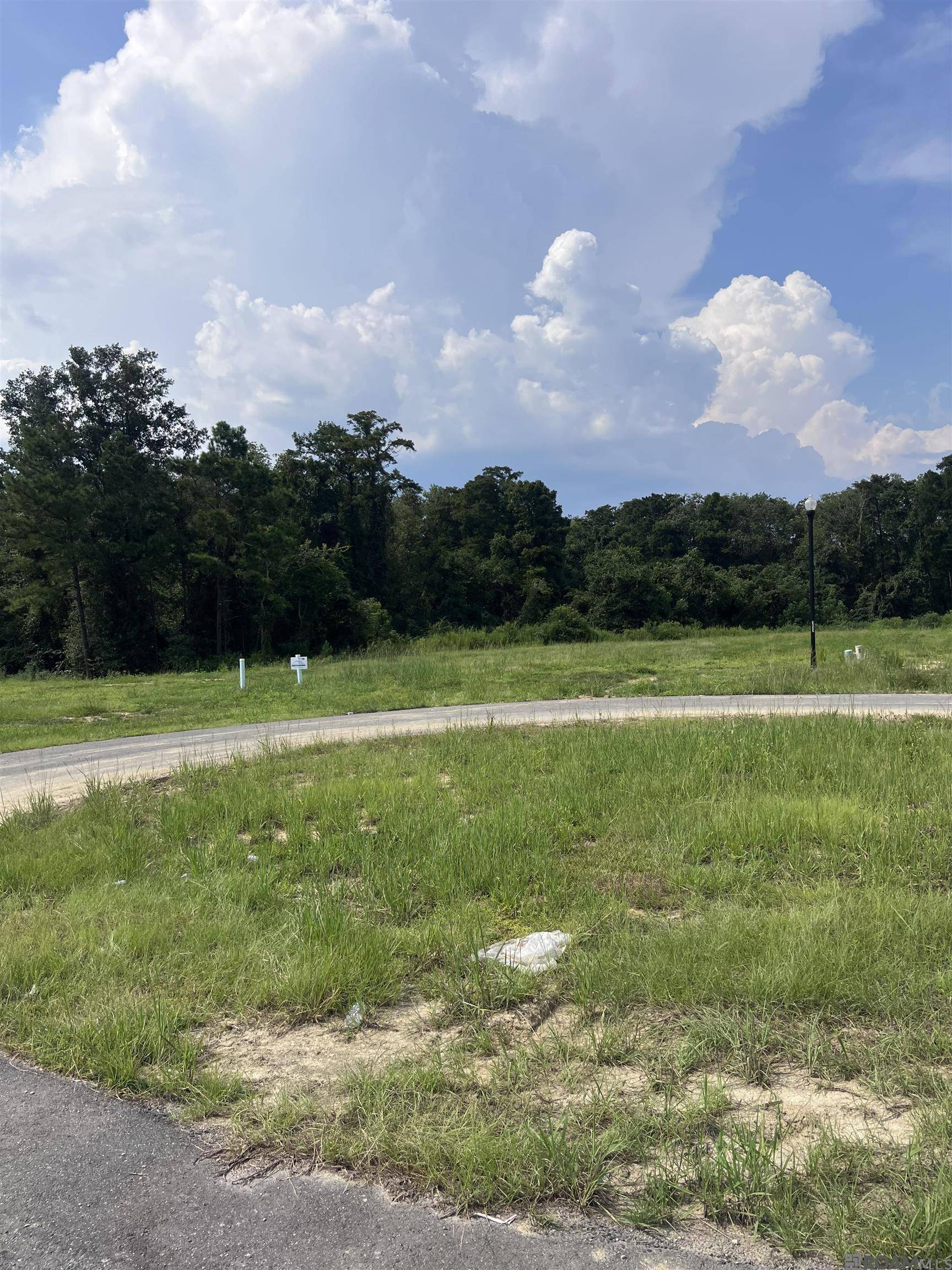Prairieville, LA 70769,43275 Collyns Cove