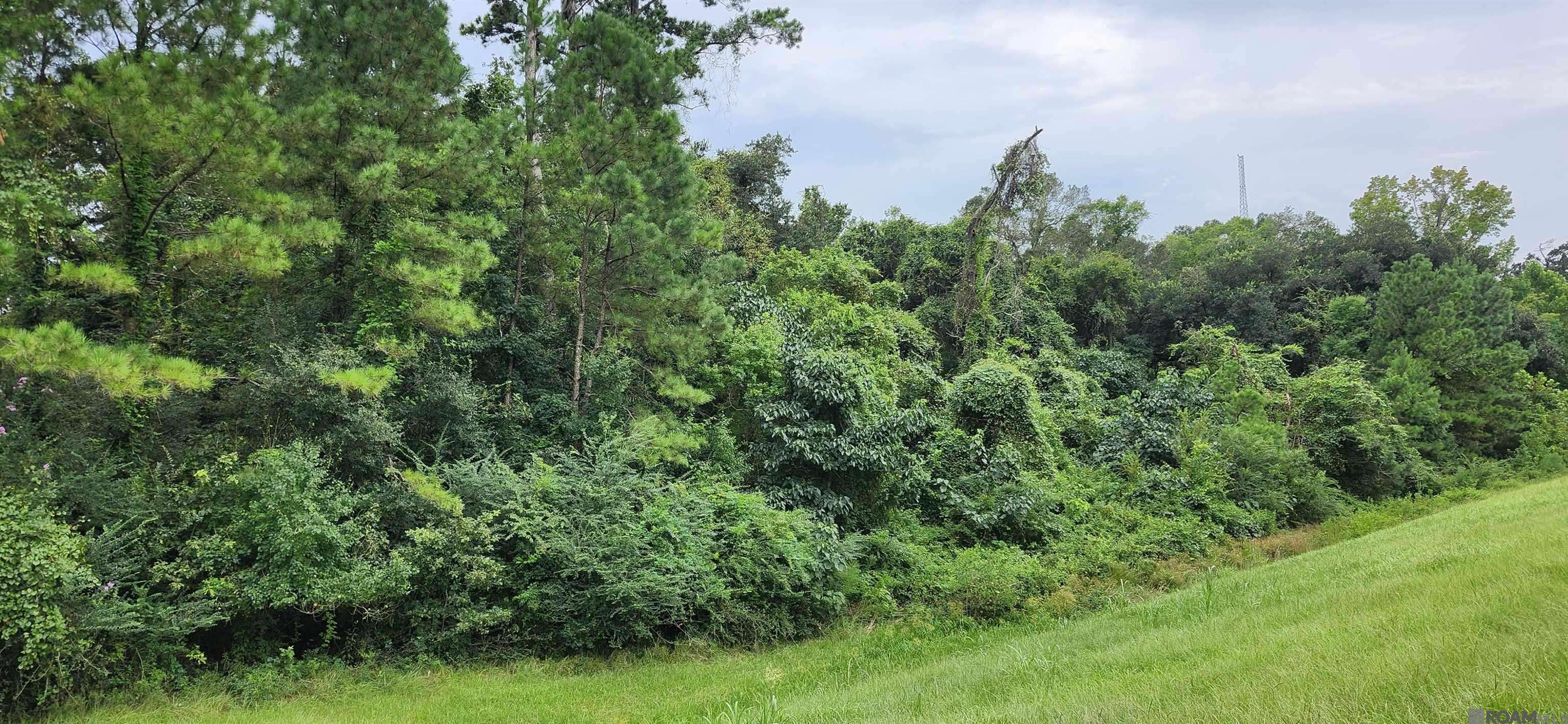 Baton Rouge, LA 70818,TBD Joor Rd