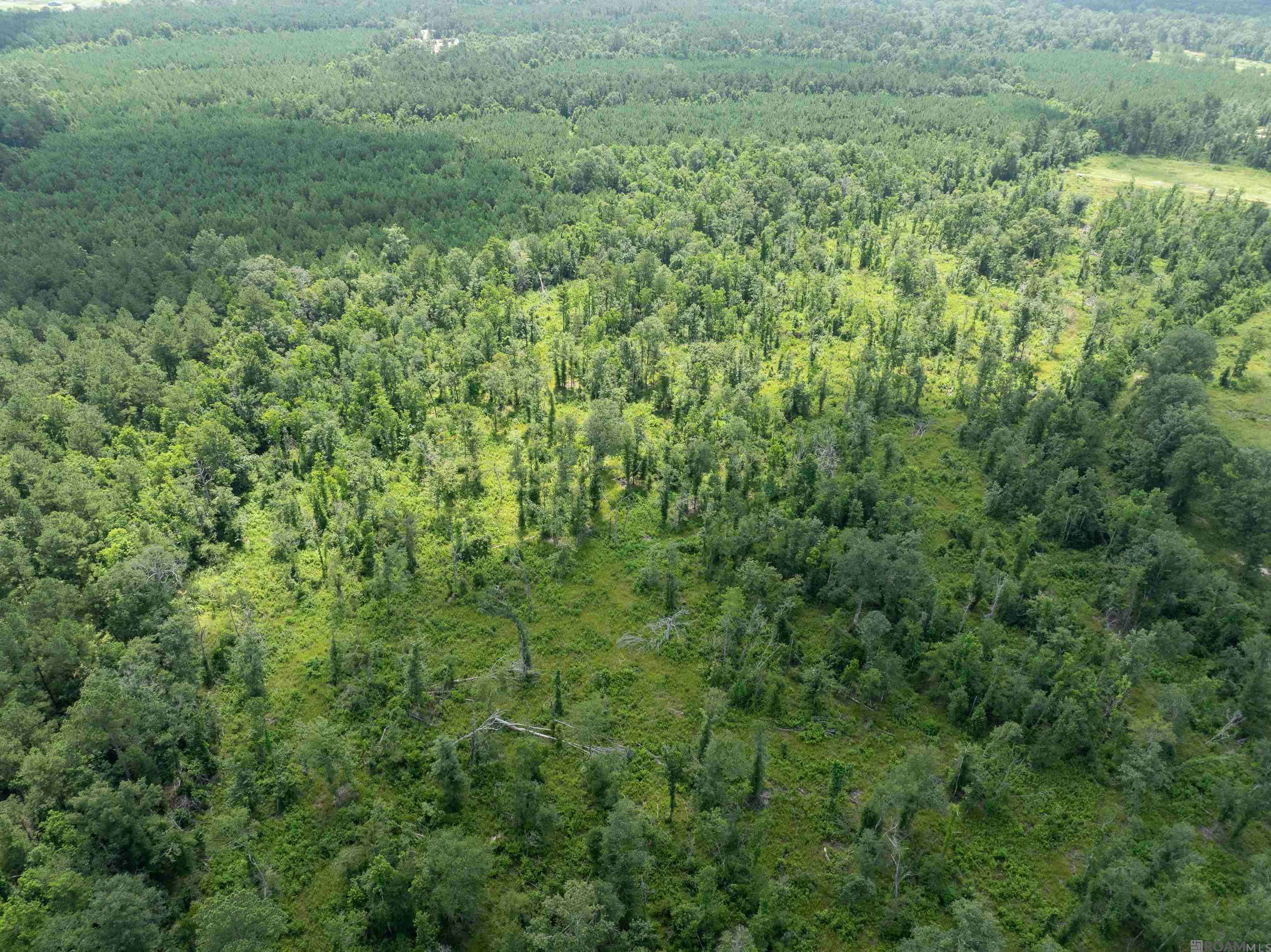 Livingston, LA 70754,TBD Lost Oak Ln