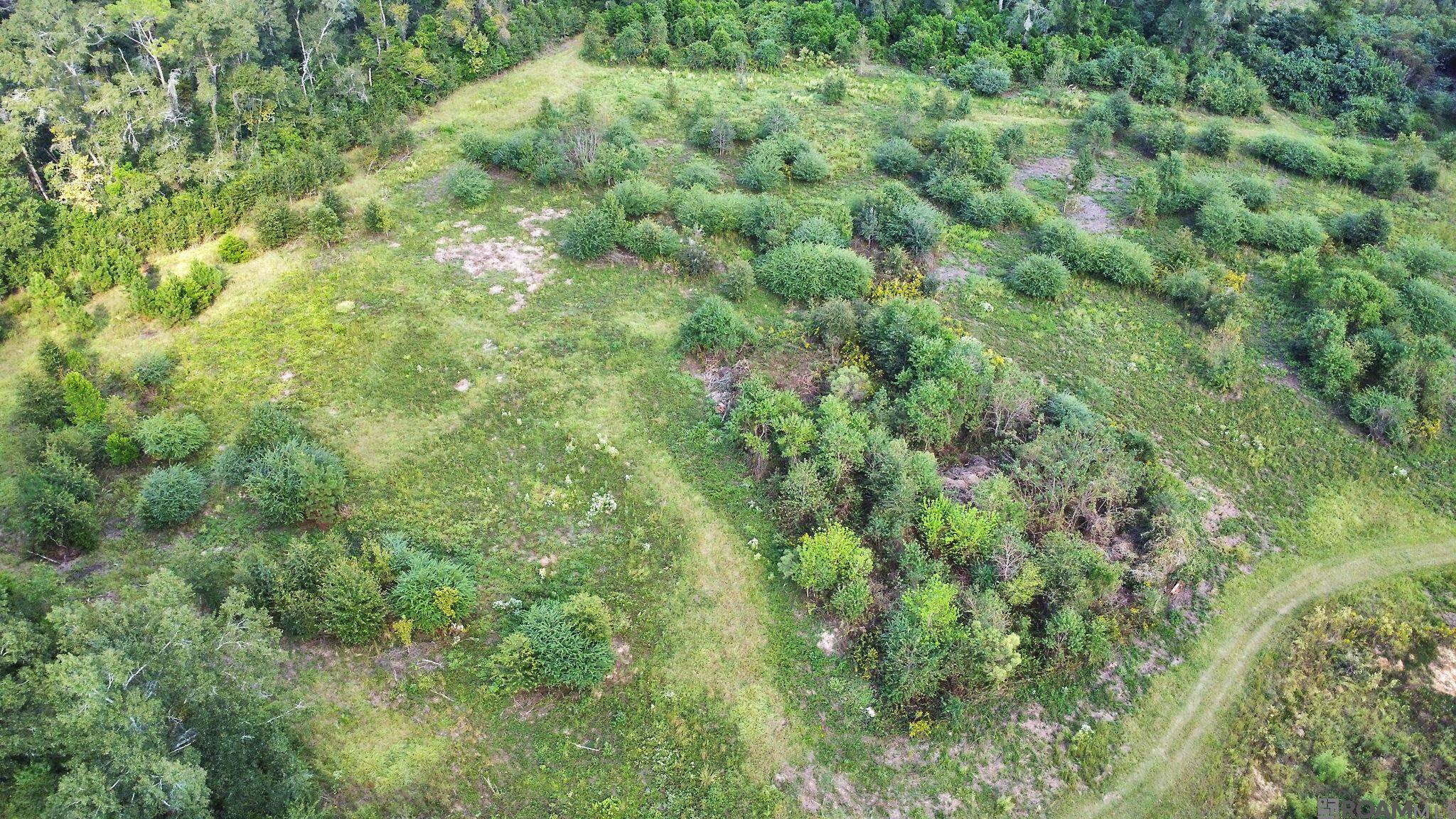 Independence, LA 70443,Tract X Riverbend Dr