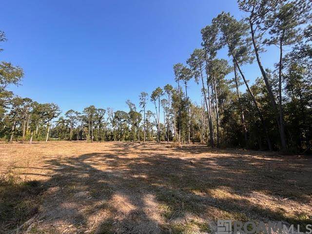 Albany, LA 70711,TBD Catholic Hall Rd