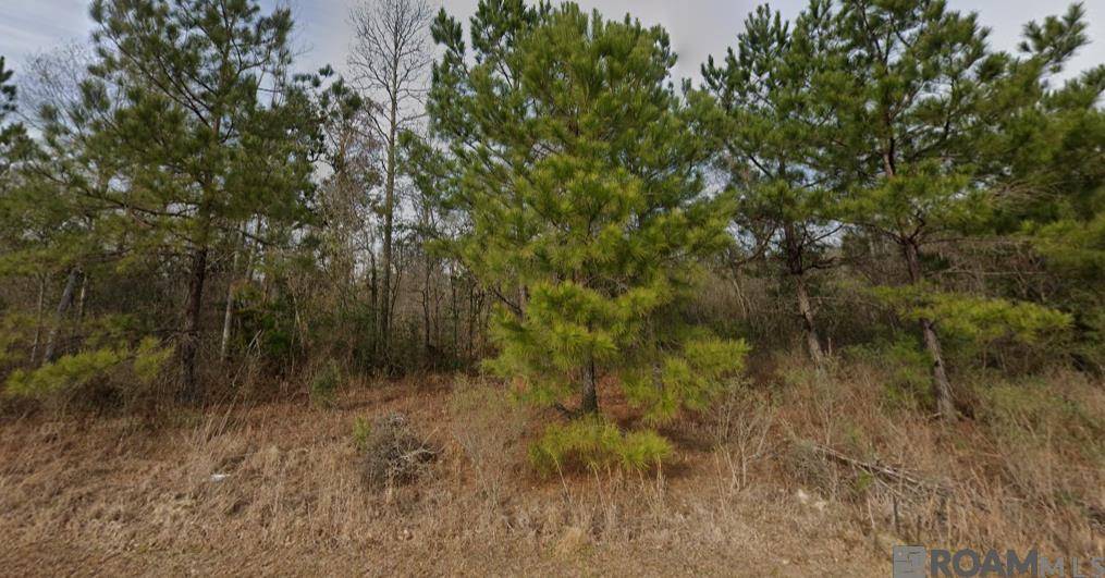Albany, LA 70711,30211 Jericho Dr