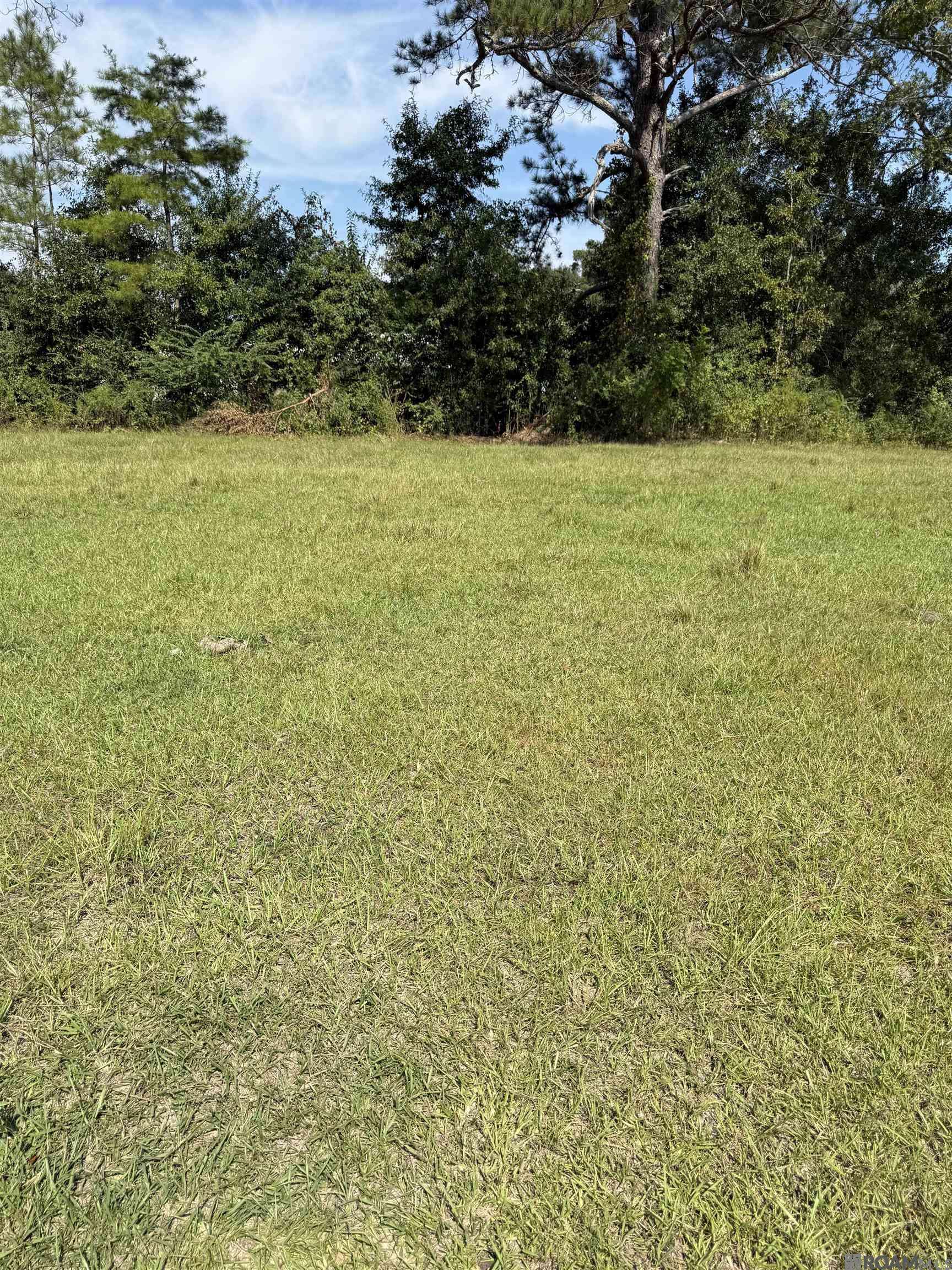 Denham Springs, LA 70726,Tract B-1,2,3 Lockhart Rd