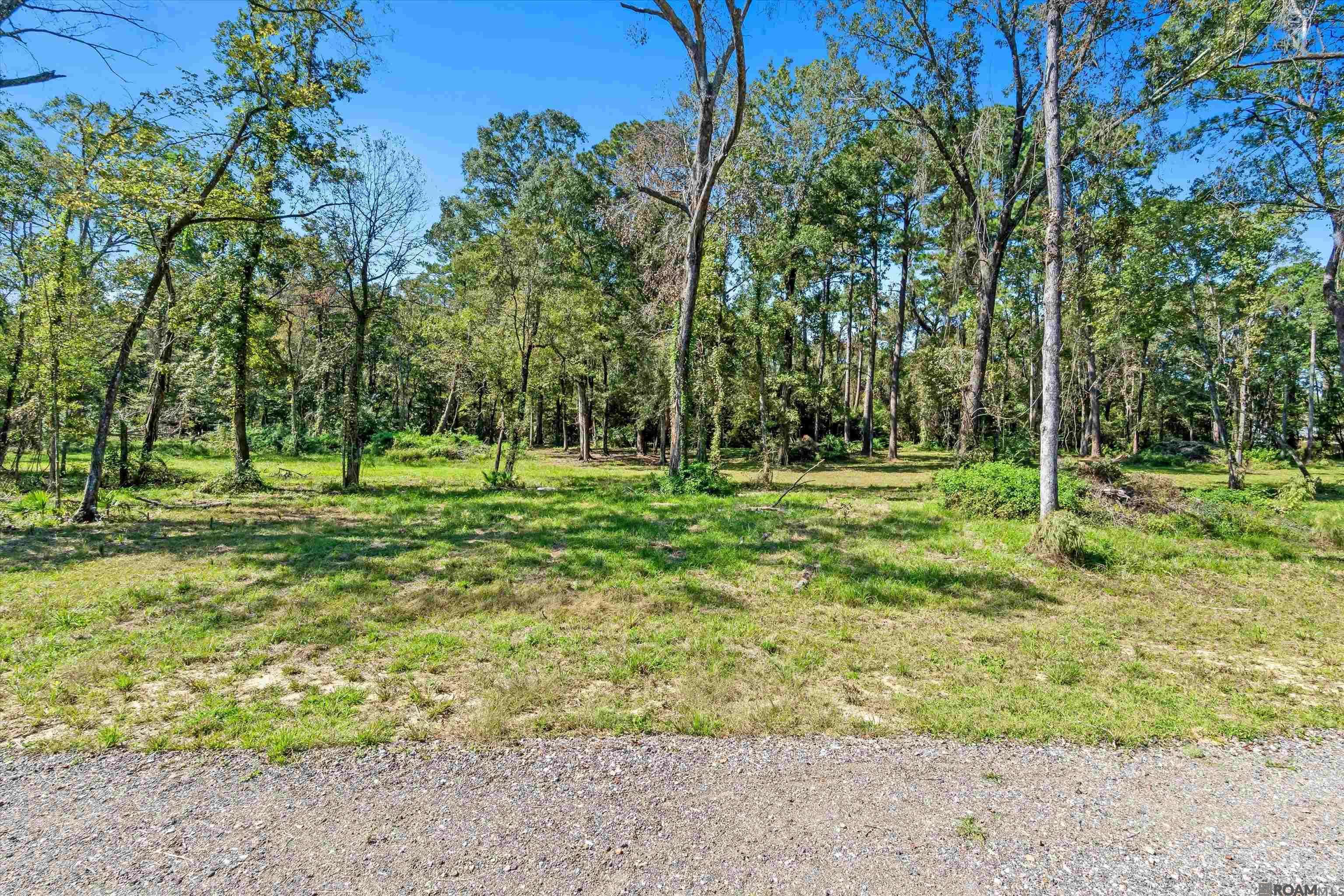 Central, LA 70739,TBD Banway Dr