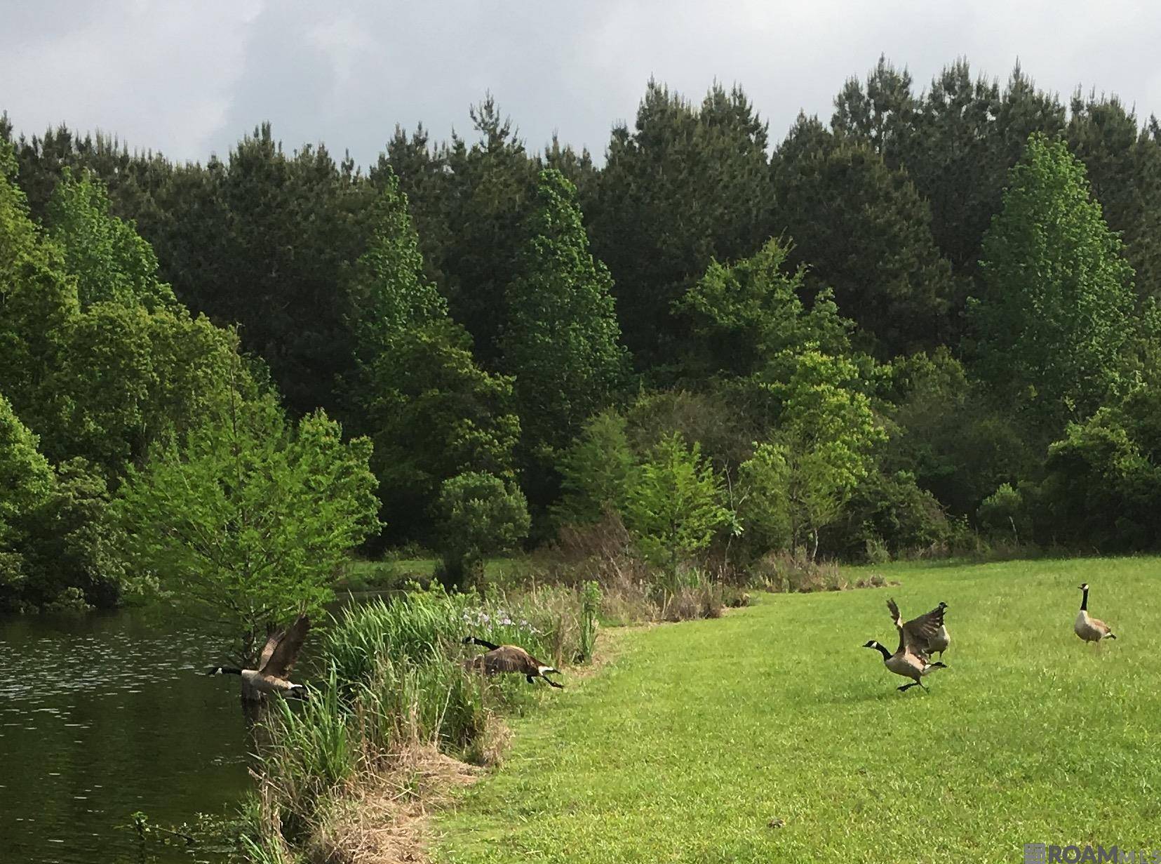 Zachary, LA 70791,B-1-A Old Scenic Hwy