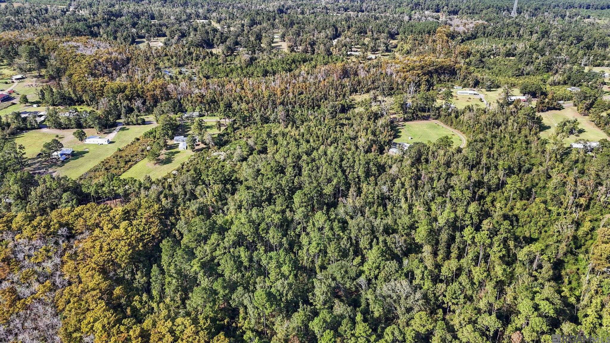 Springfield, LA 70462,29794 Lower Rome Rd