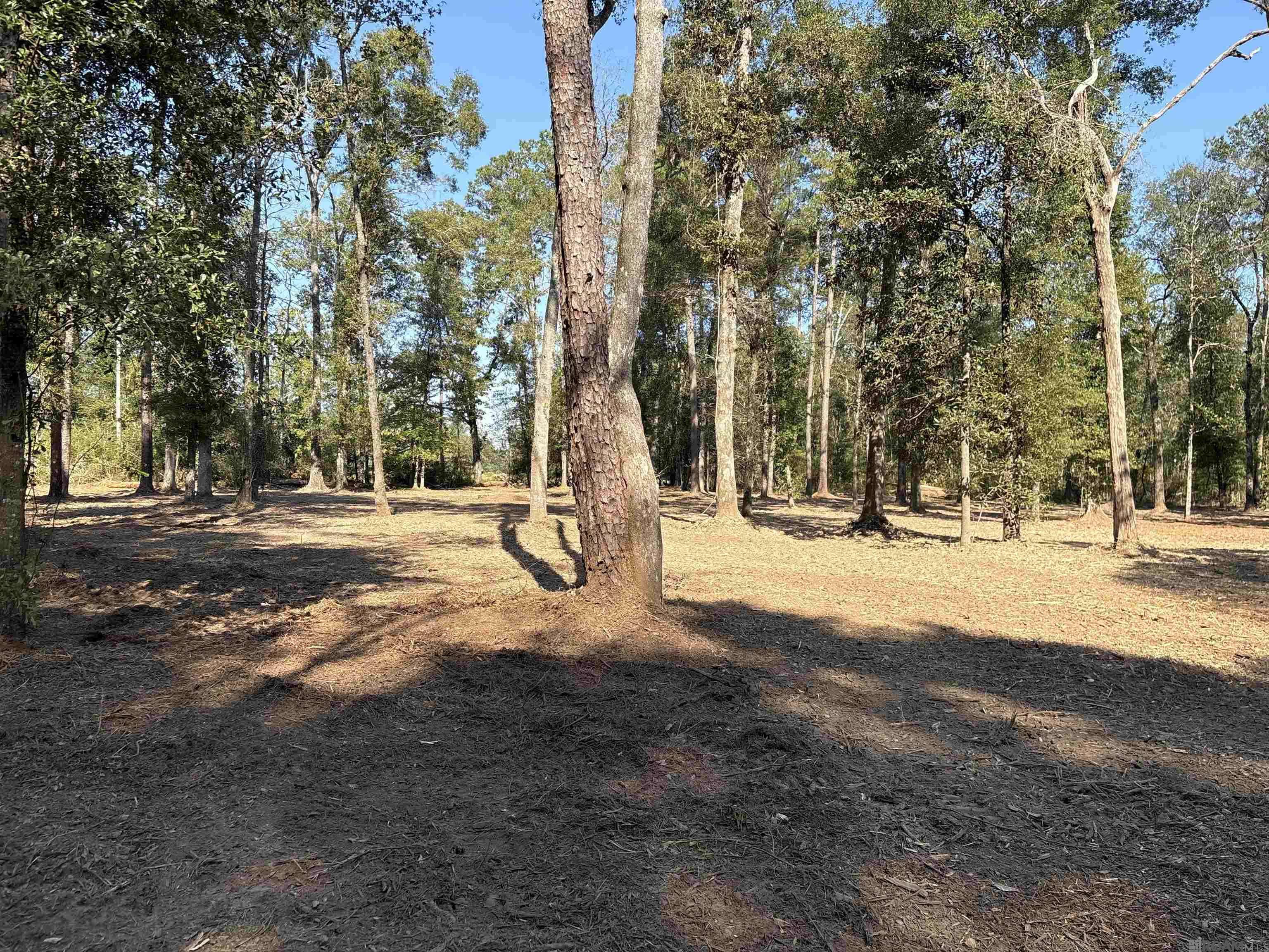 Montpelier, LA 70422,290 Westmoreland Ln