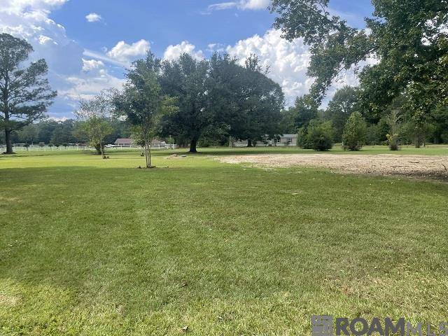 Ethel, LA 70730,3839 Richmond Dr