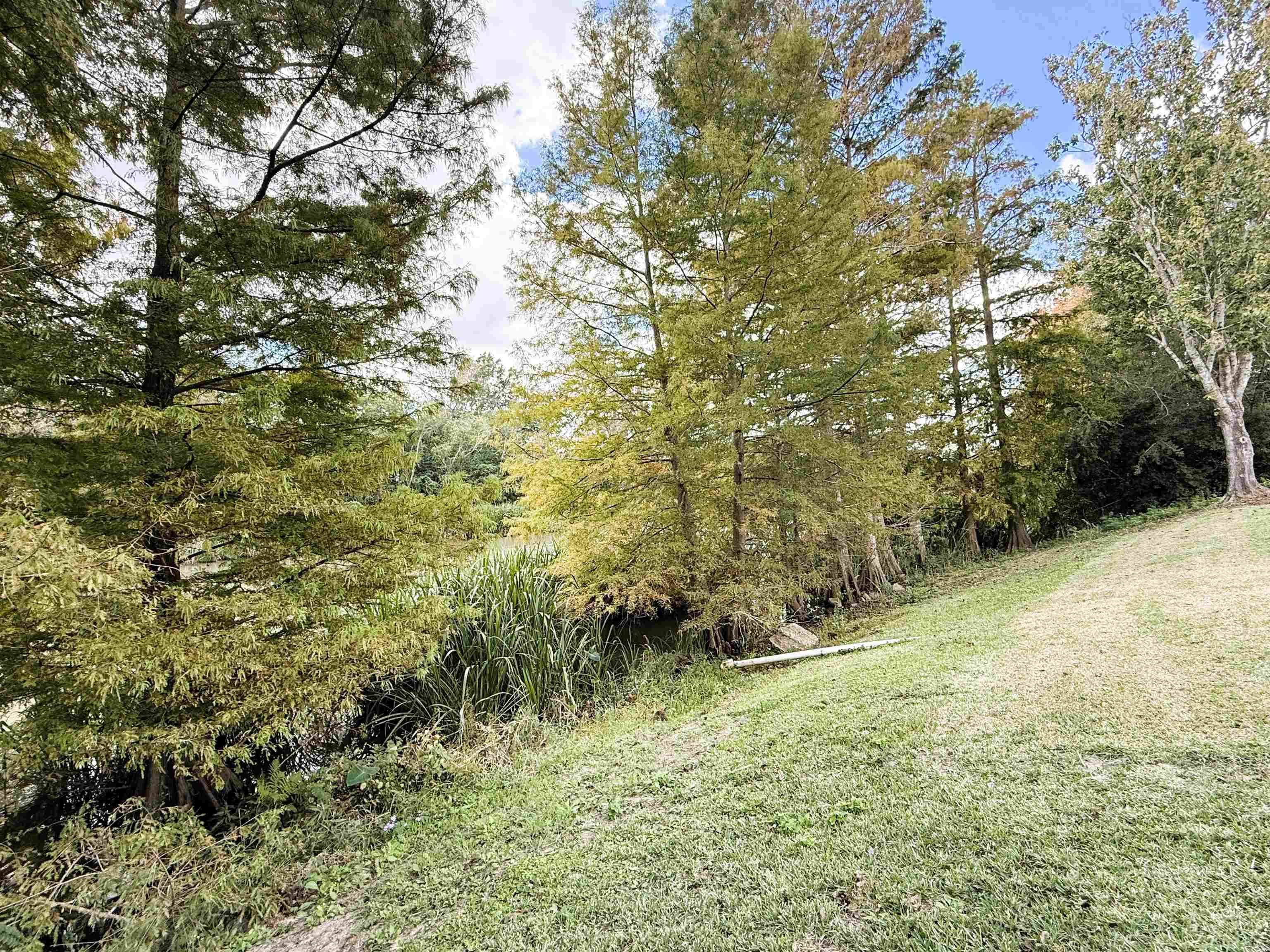 Thibodaux, LA 70301,1466 Highway 308