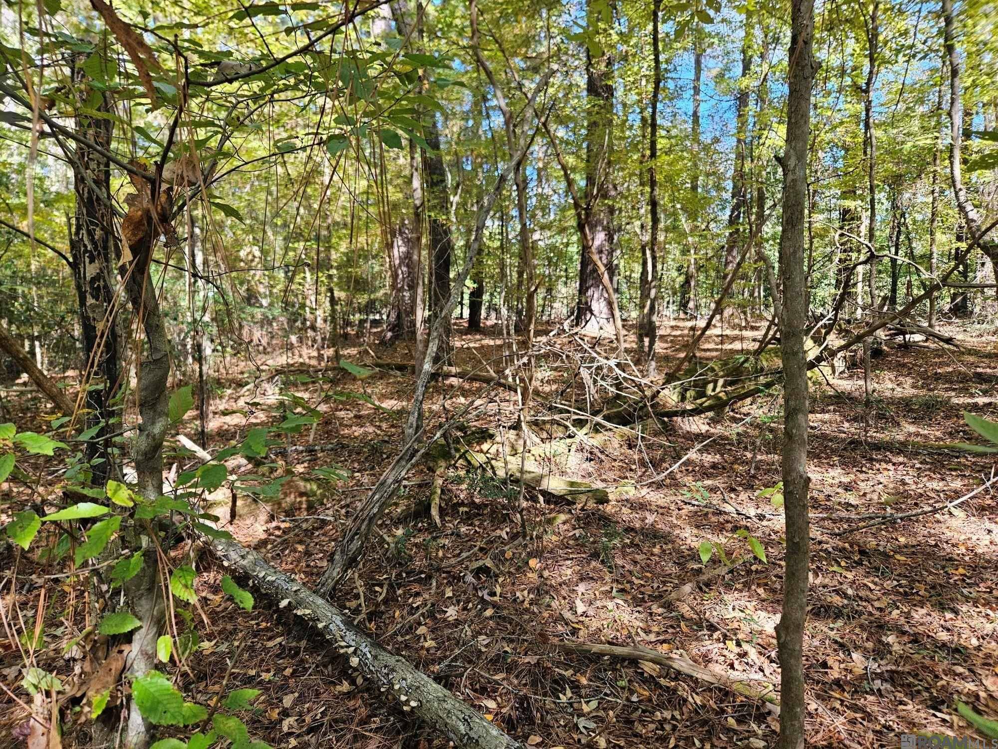 St Francisville, LA 70775,TBD Tunica Trace