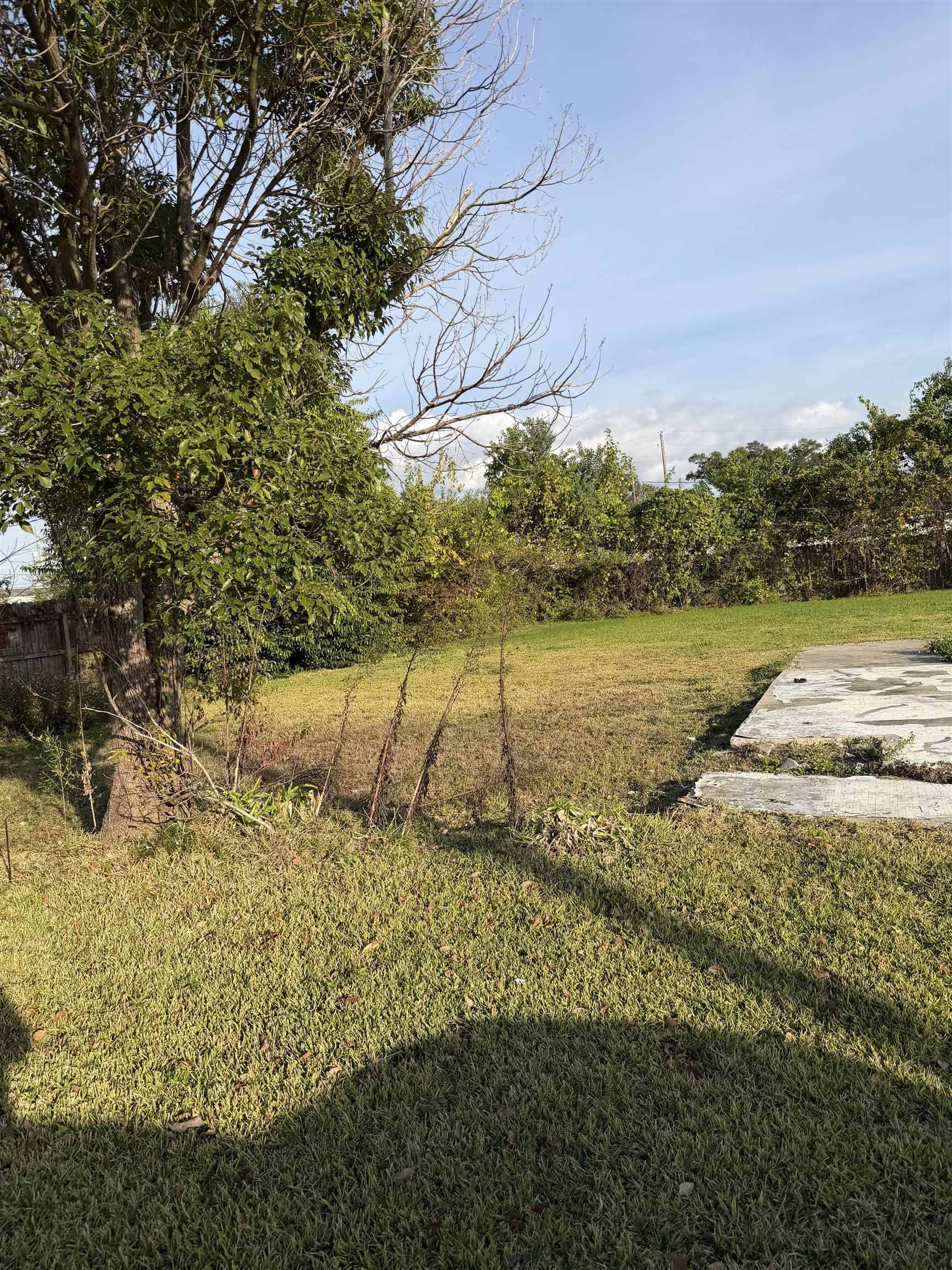 Houma, LA 70363,221 Pontiff Street