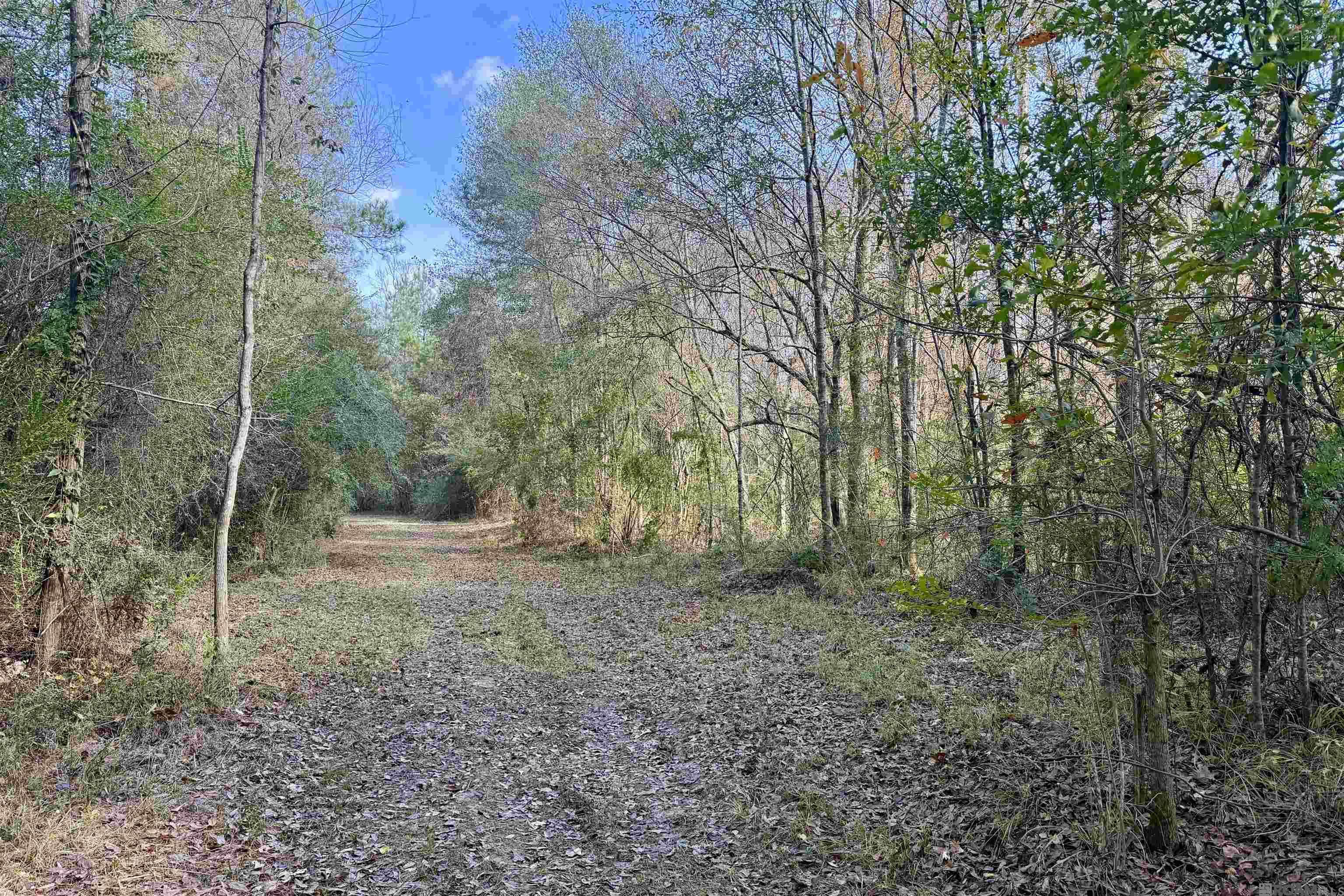 Amite, LA 70442,03 La Hwy 1047