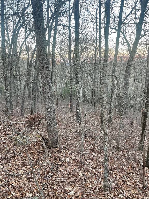 Cullowhee, NC 28723,00 Zeb Buchanan RD