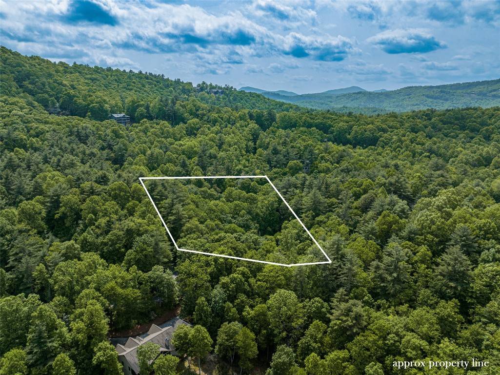 Cashiers, NC 28717,43 Rochester DR