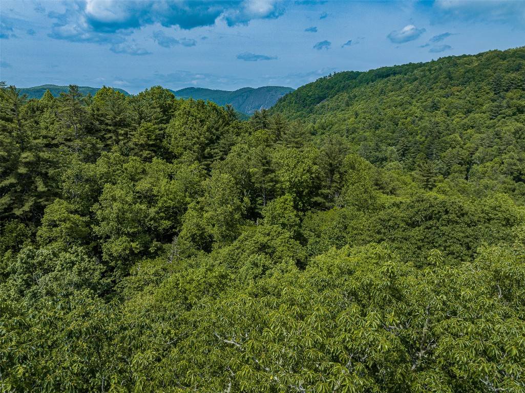 Cashiers, NC 28717,43 Rochester DR