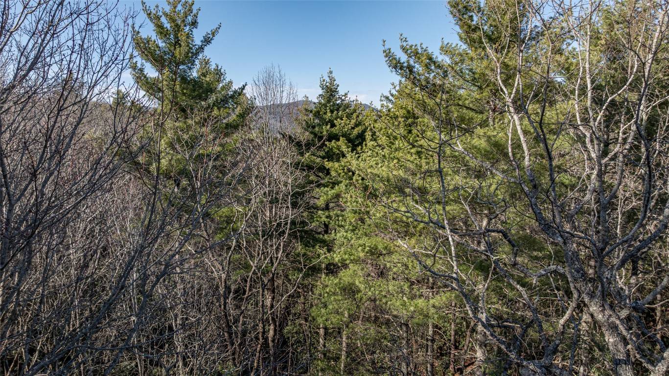 Cashiers, NC 28717,38 Loblolly LN