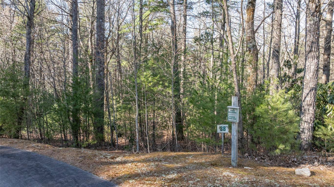 Cashiers, NC 28717,38 Loblolly LN