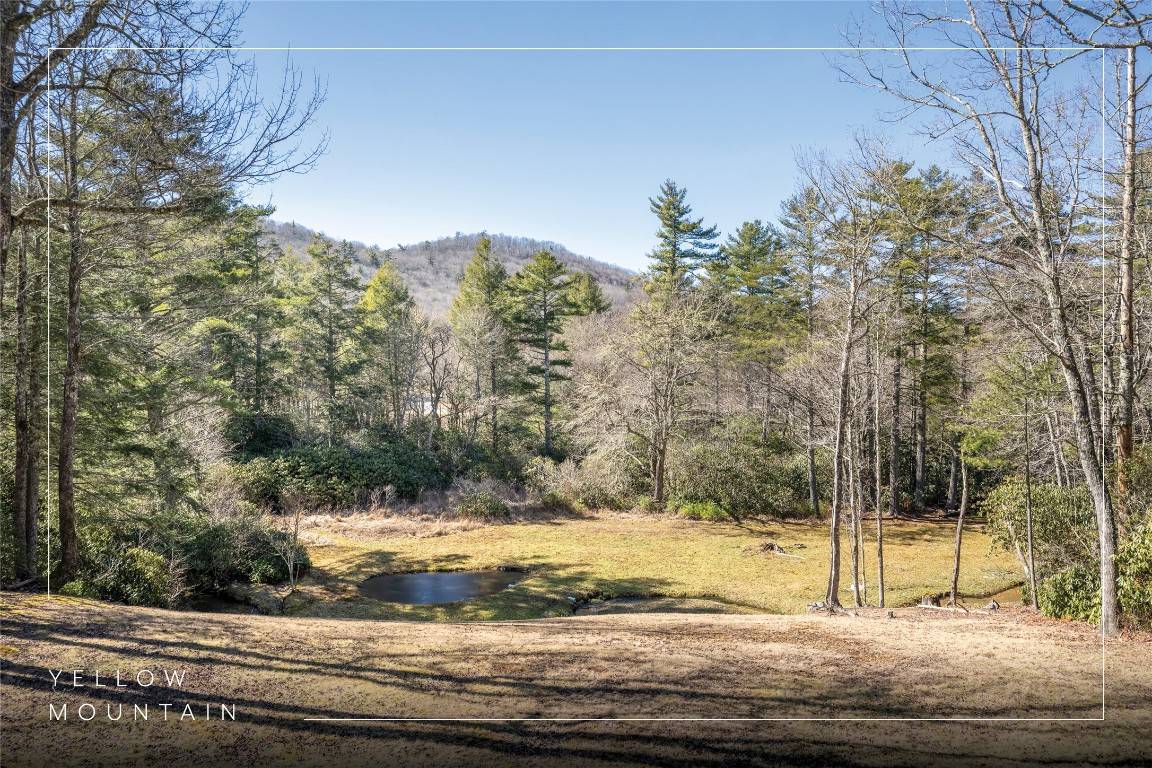 Cullowhee, NC 28723,64 Brahman LN
