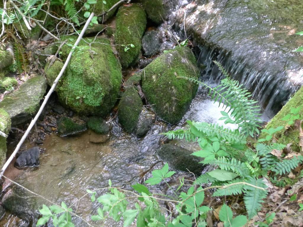 Glenville, NC 28736,On Pasture RD