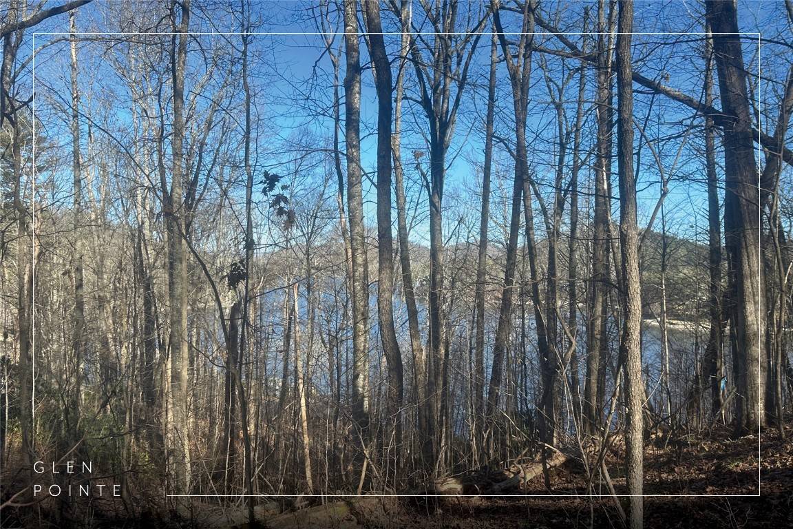 Cullowhee, NC 28723,Lot 3 Lake Breeze DR