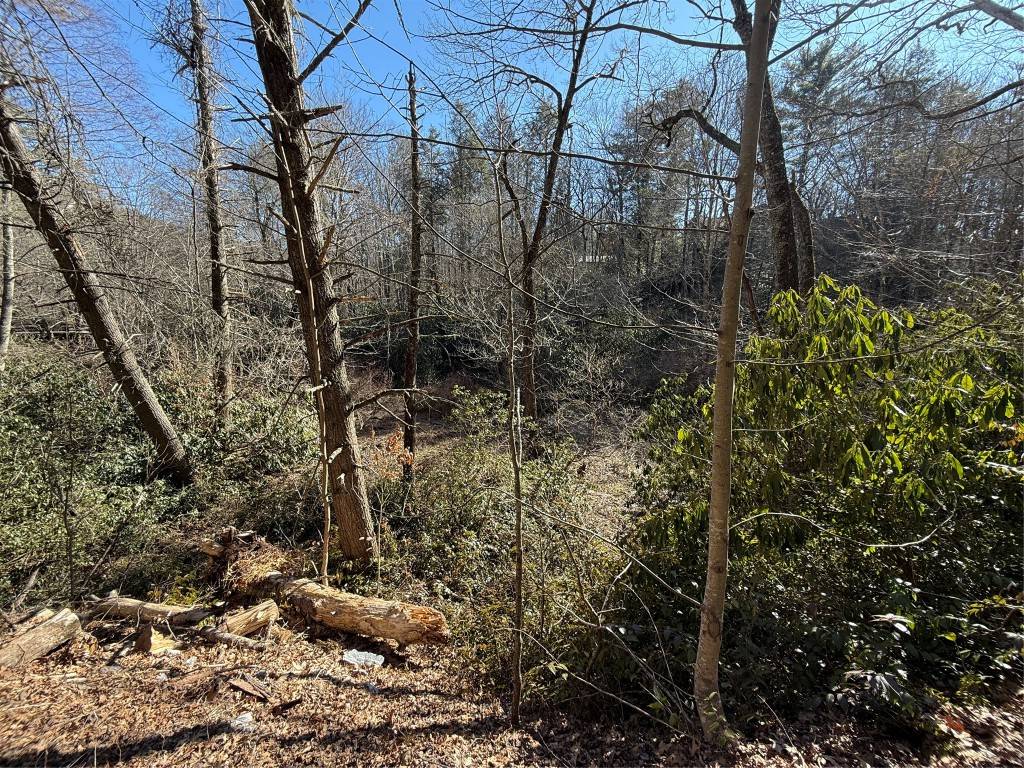 Cashiers, NC 28717,0 North Norton Rd