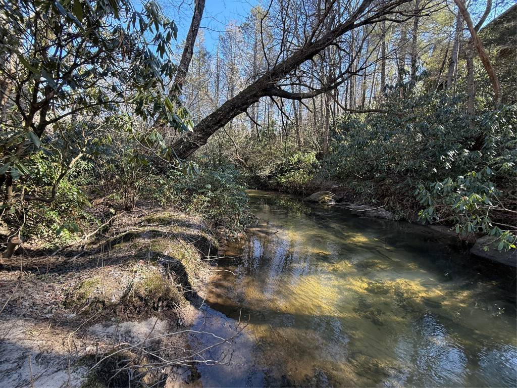 Cashiers, NC 28717,0 North Norton Rd