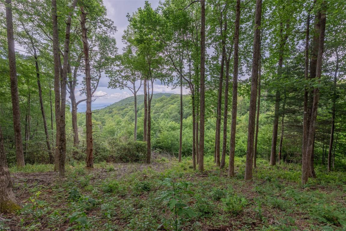 Highlands, NC 28741,TBD Kettle Rock RD