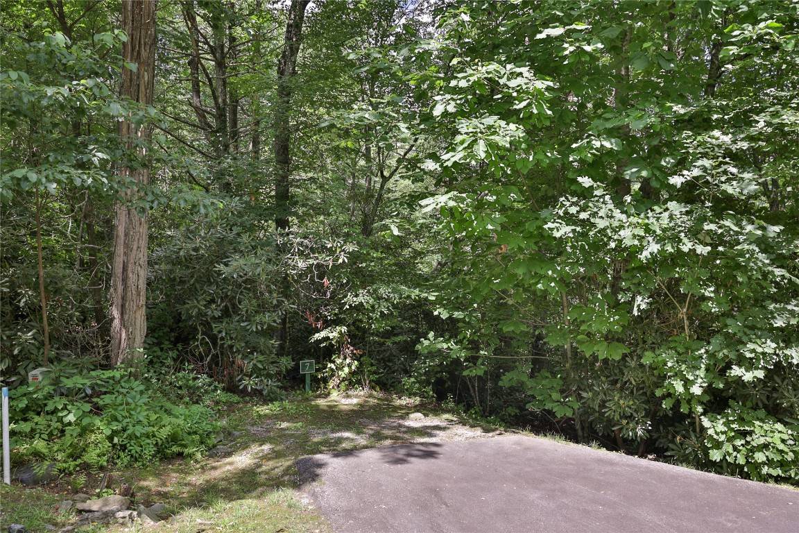 Cullowhee, NC 28723,364 Cross Creek TRL
