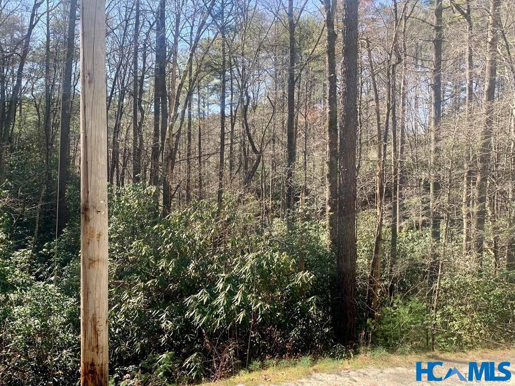 Brevard, NC 28712,22 Double Creek DR