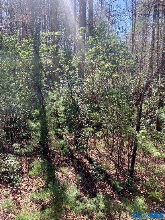 Brevard, NC 28712,22 Double Creek DR
