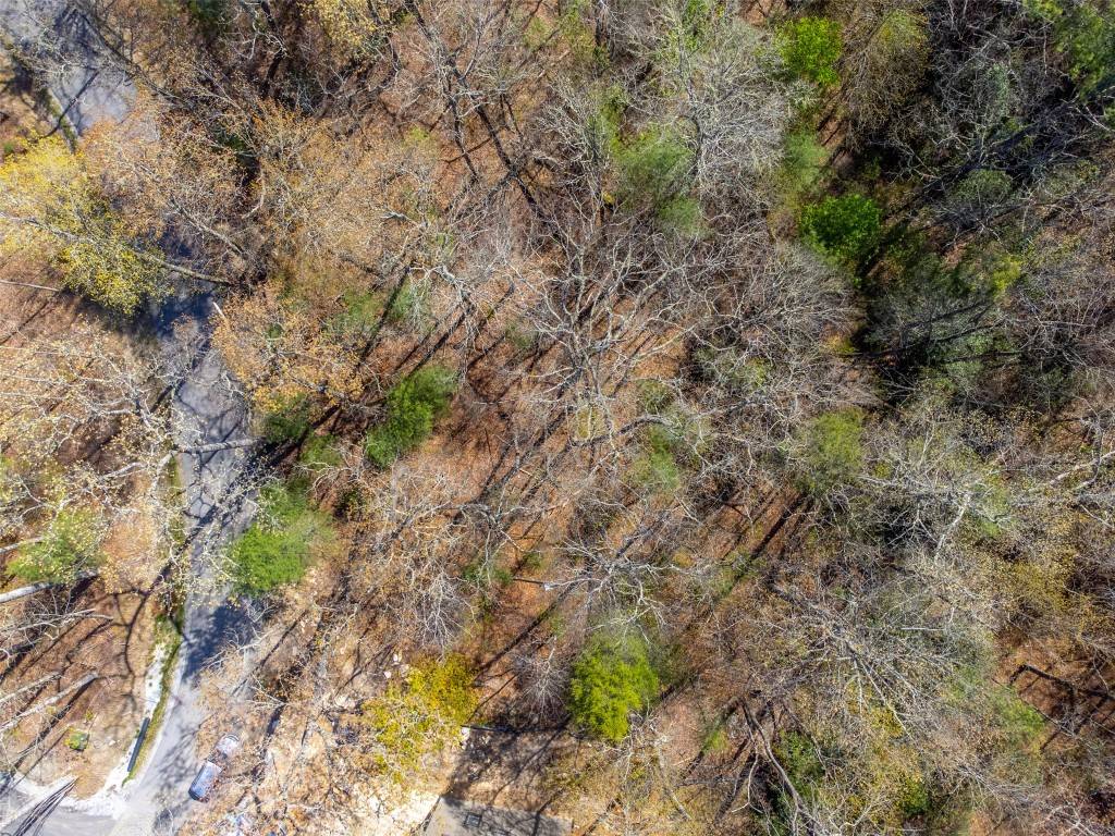 Cashiers, NC 28717,9 Norton Ridge LN