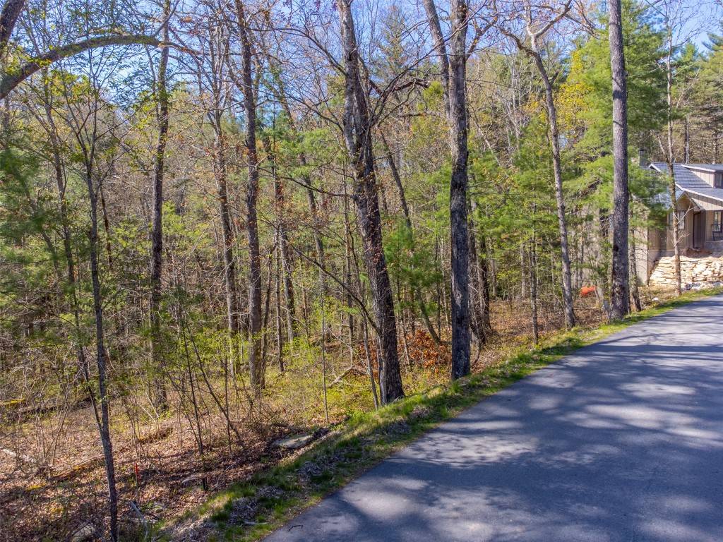 Cashiers, NC 28717,9 Norton Ridge LN