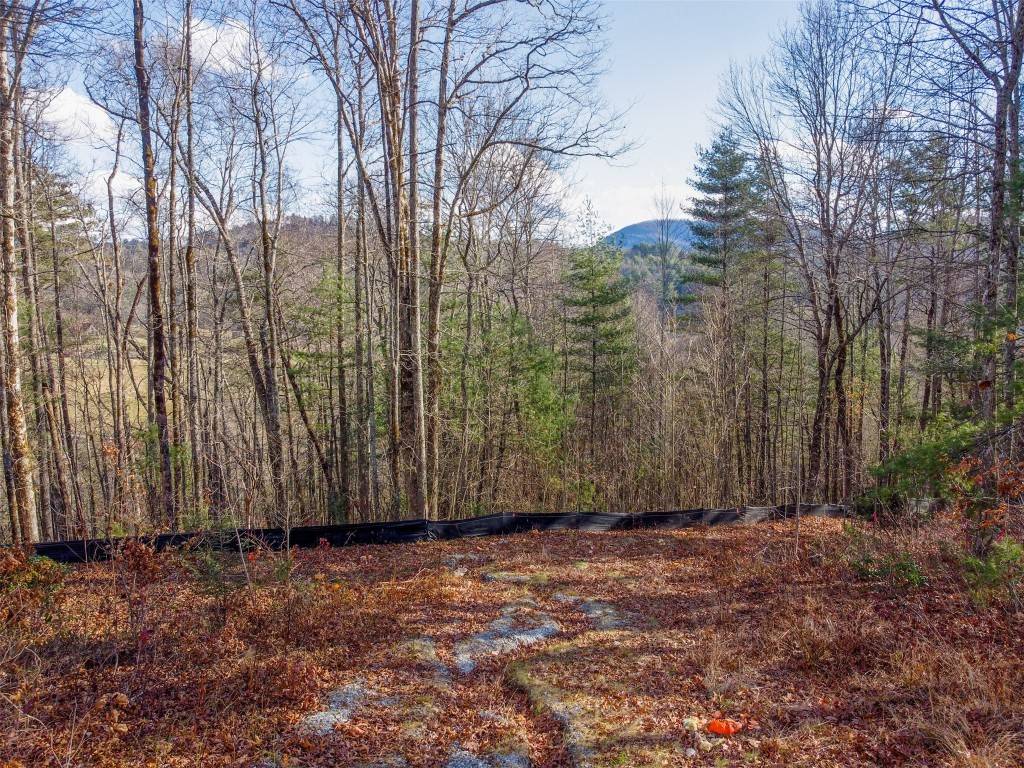 Cashiers, NC 28717,Lot 24 Norton Ridge Lane