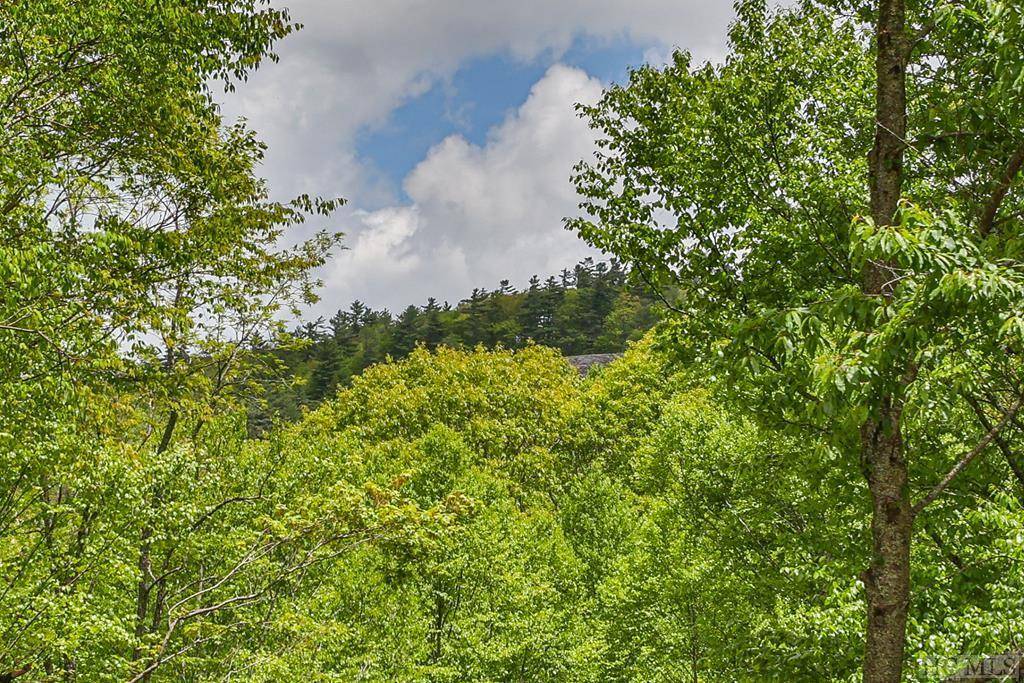 Highlands, NC 28741,865 Wilson RD