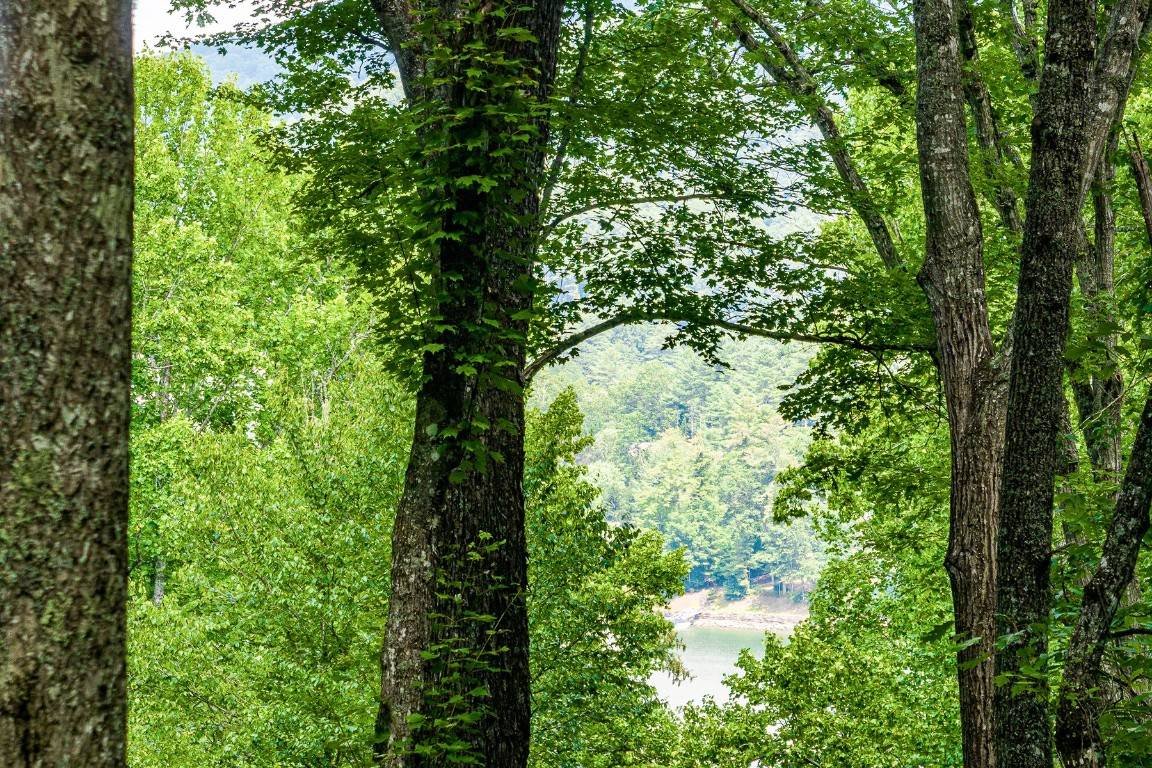 Cullowhee, NC 28723,6 Tocami Club DR