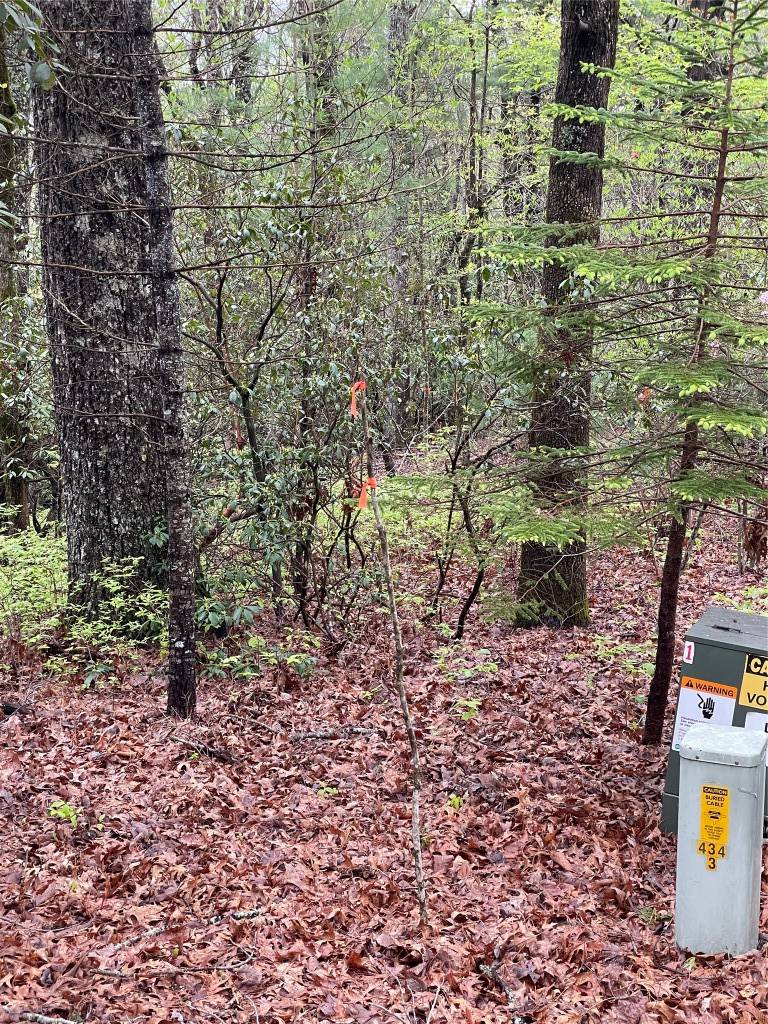 Lake Toxaway, NC 28747,Lot 11 Cherokee Trace