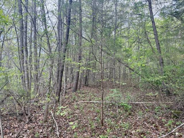 Sylva, NC 28779,0 Bellaire Estates