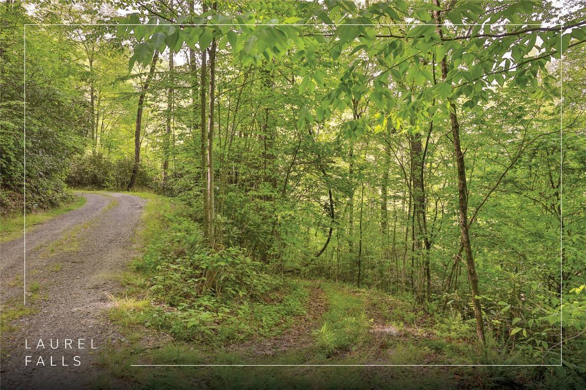Glenville, NC 28736,G110 Trimble RDG