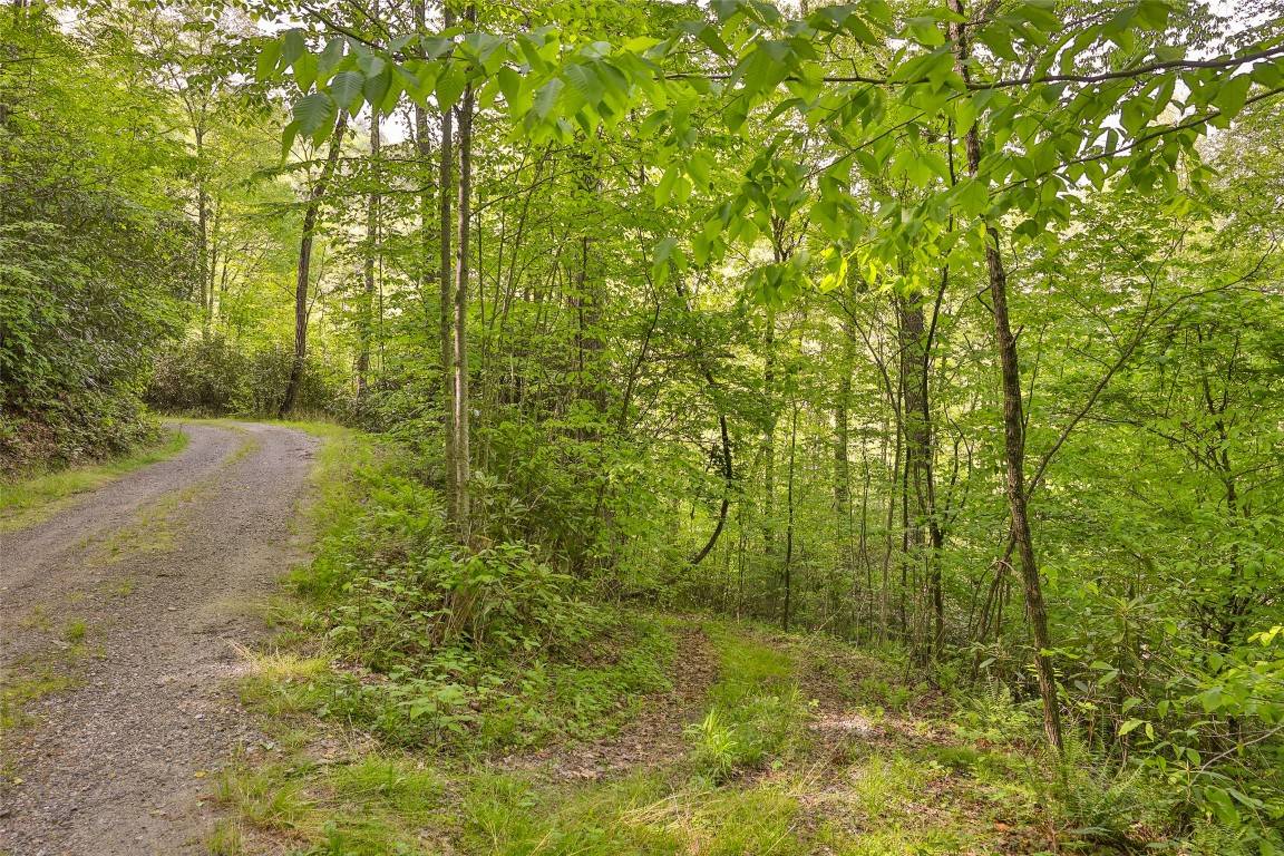 Glenville, NC 28736,G110 Trimble RDG